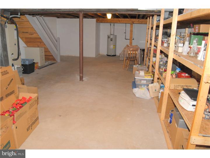 702 Spice Bush Ambler, PA 19002 - Photo 21 of 23 Basement
