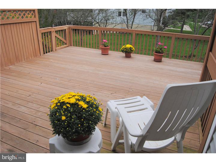 702 Spice Bush Ambler, PA 19002 - Photo 4 of 23 Deck