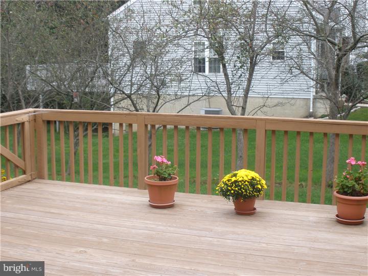 702 Spice Bush Ambler, PA 19002 - Photo 5 of 23 Back Yard
