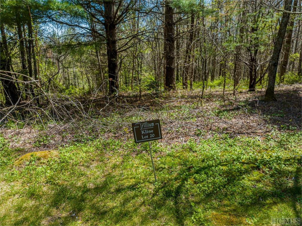 Lot 20 Trillium Ridge Road Sapphire, NC 28774 - Photo 11 of 17 Gallery Image 11