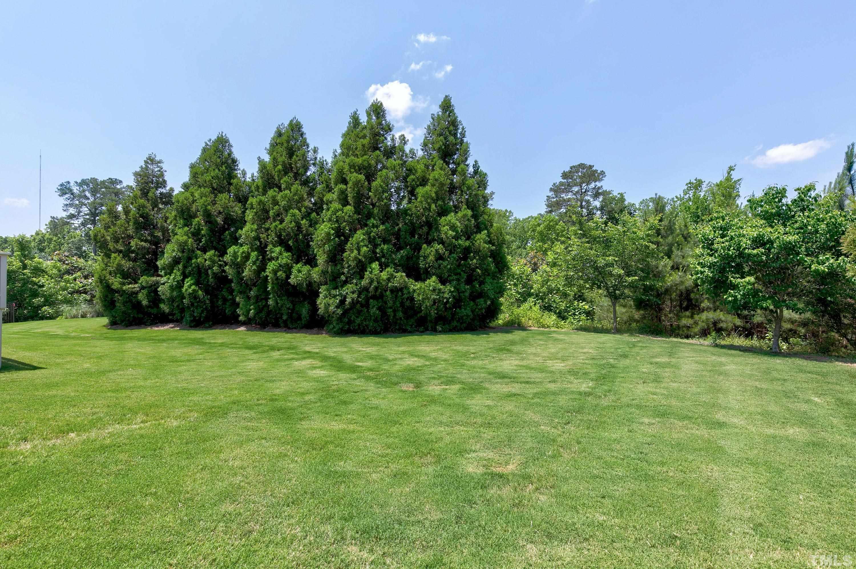 302 Michelangelo Way Cary, NC 27518 - Photo 41 of 44 a backyard of a house with lots of green space and trees