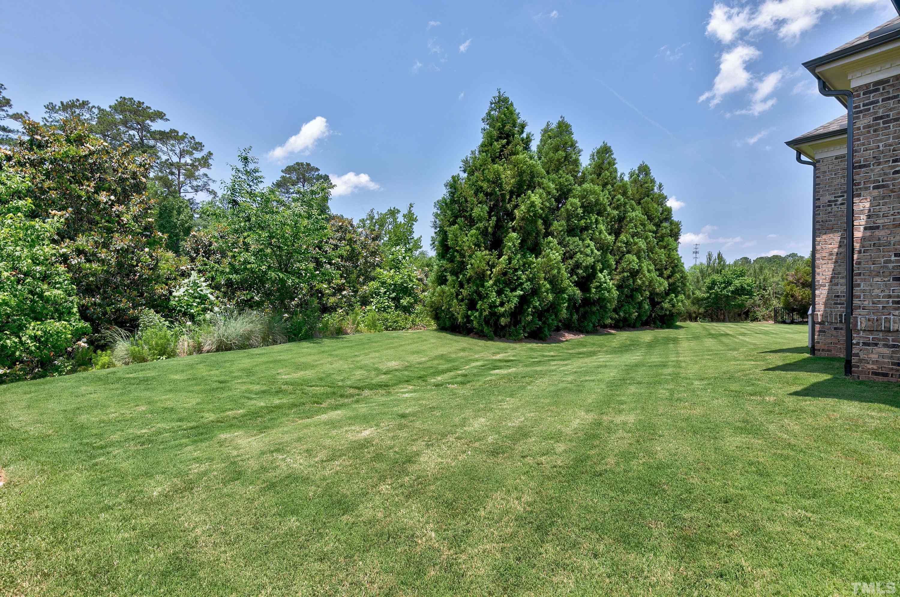 302 Michelangelo Way Cary, NC 27518 - Photo 42 of 44 a view of a grassy field with trees