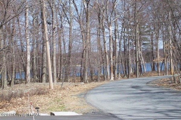 287 Hummingbird Trail Bushkill, PA 18324 - Photo 10 of 13 View of lake from Driveway
