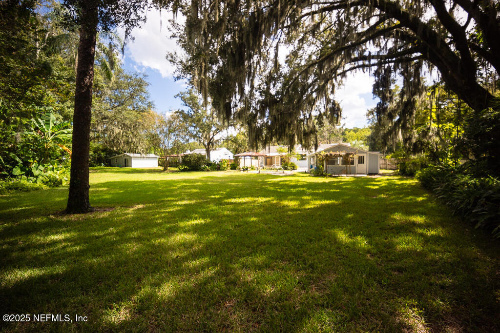 9965 Arnold Road Jacksonville, FL 32246 - Photo 50 of 60 a view of a park with large trees