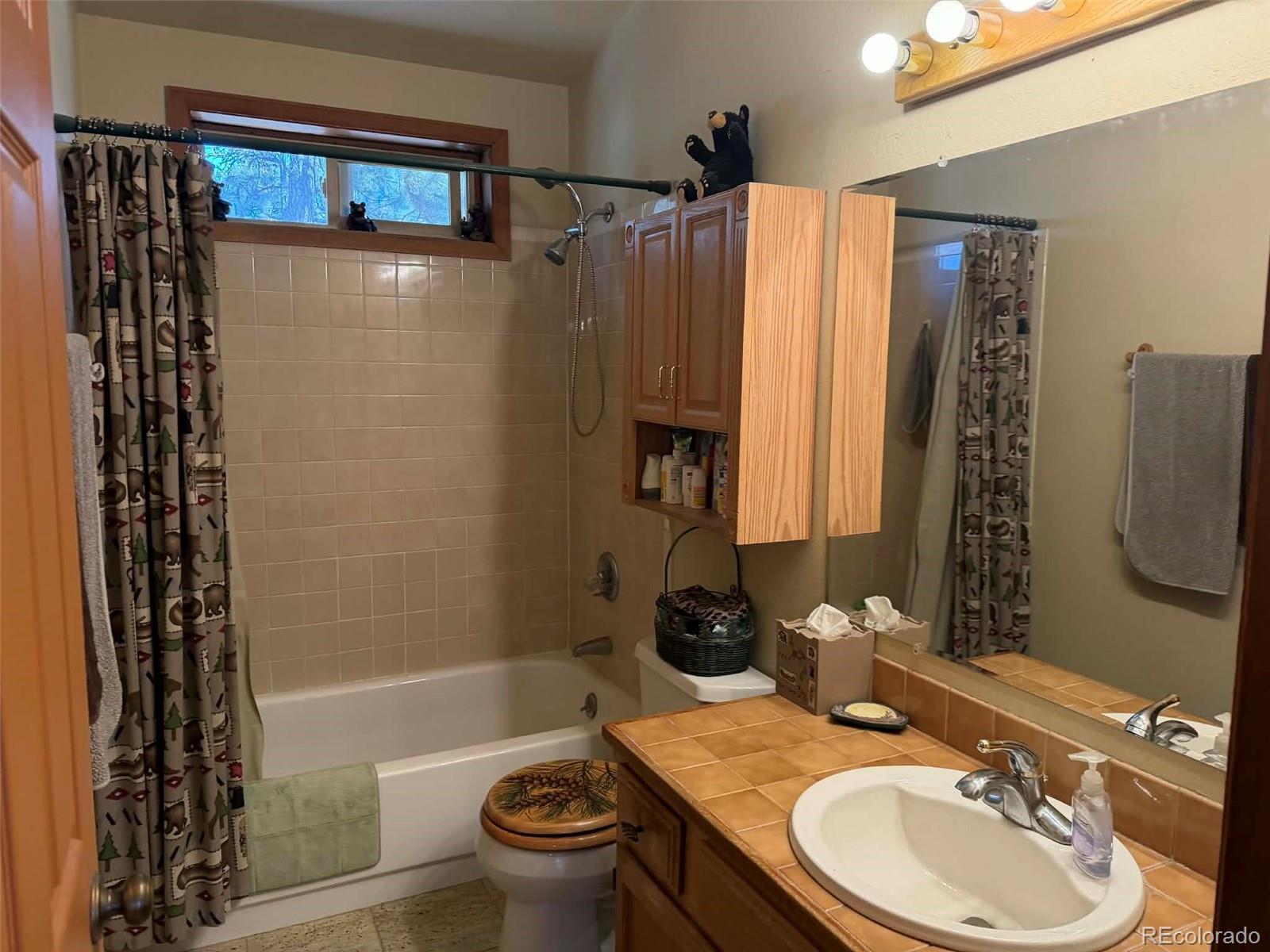 33623 Smith Road Pine, CO 80470 - Photo 11 of 45 a bathroom with a sink toilet and shower
