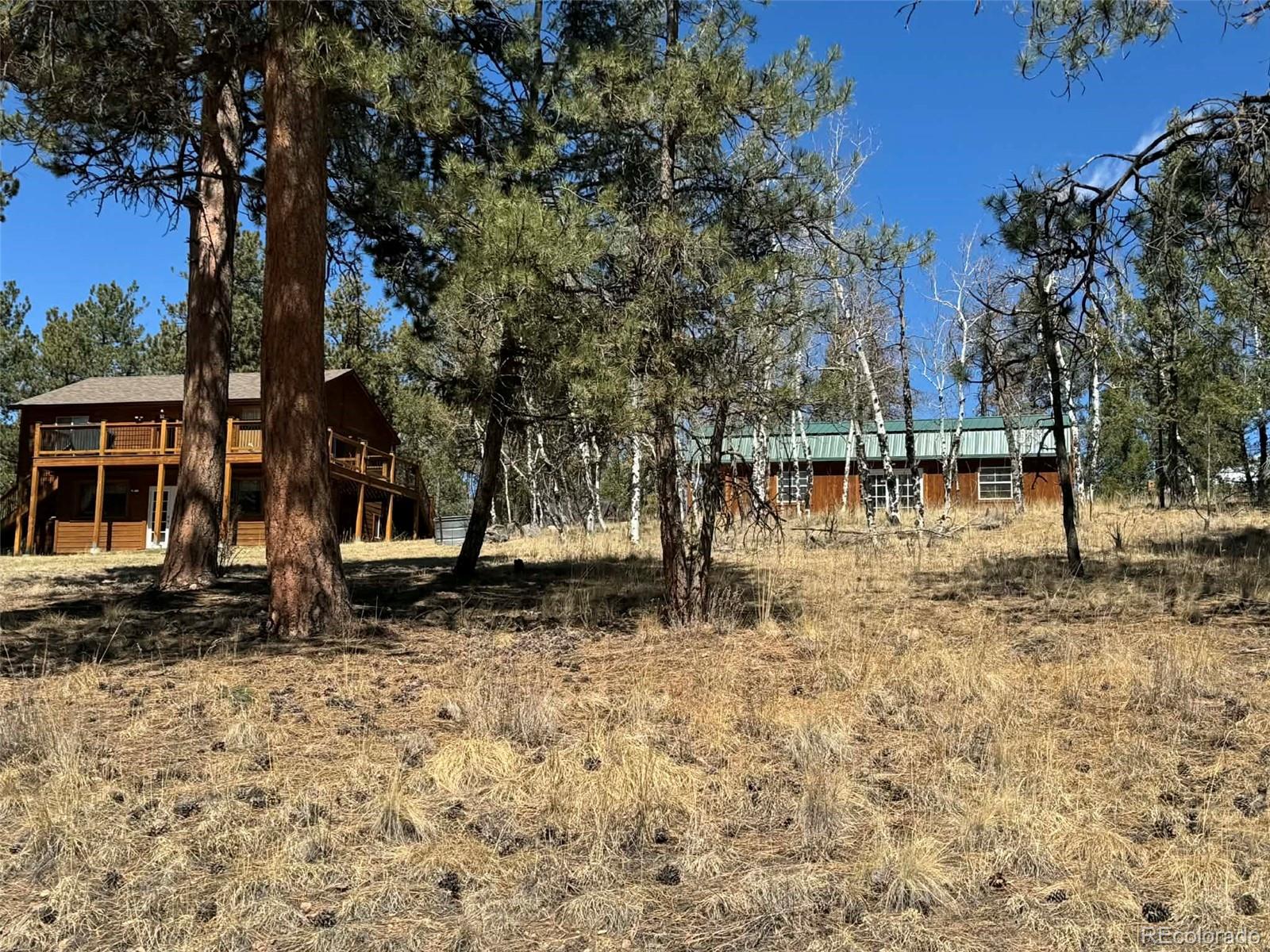 33623 Smith Road Pine, CO 80470 - Photo 35 of 45 a backyard of a house with lots of green space