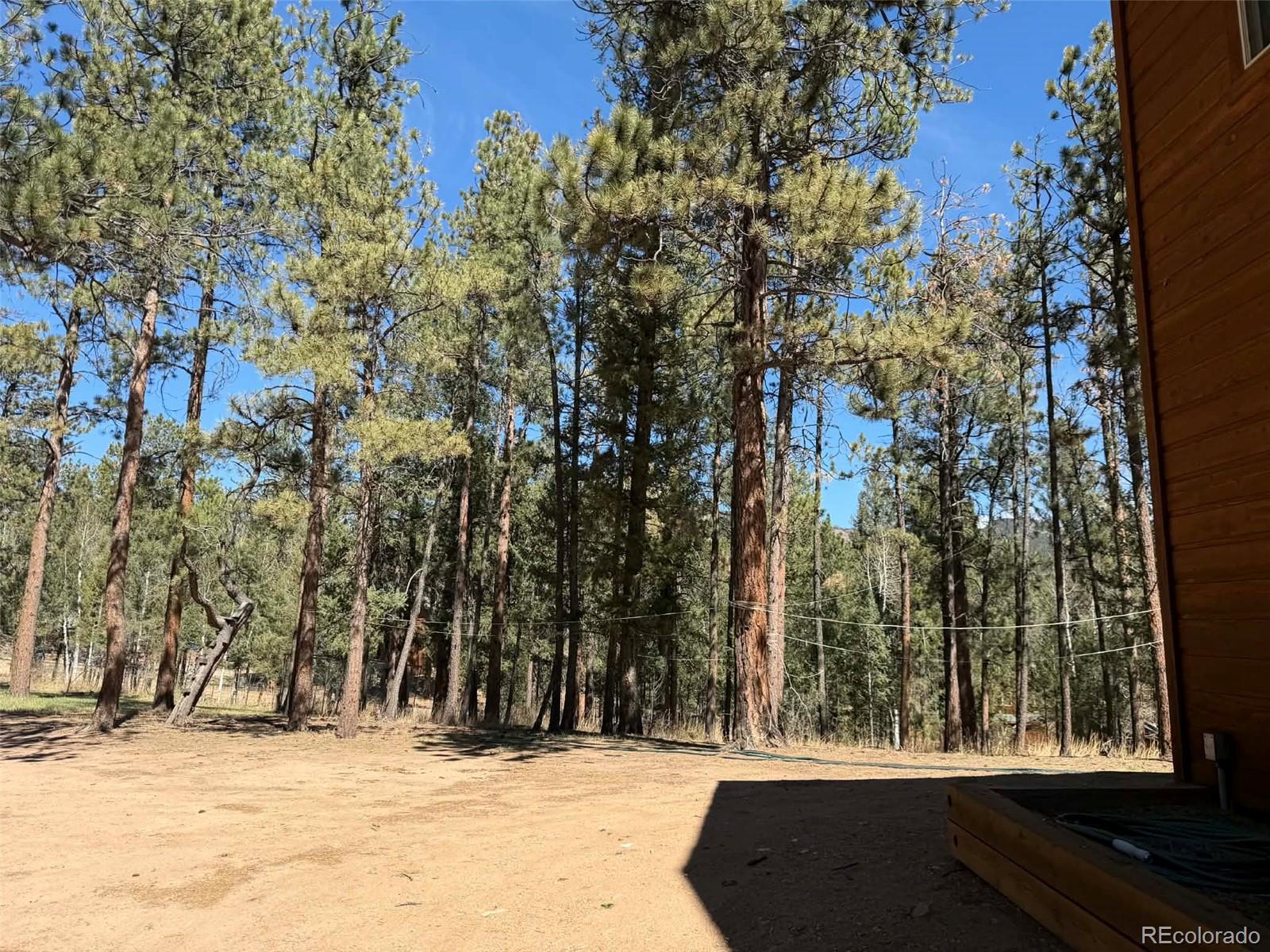 33623 Smith Road Pine, CO 80470 - Photo 40 of 45 a view of outdoor space with trees