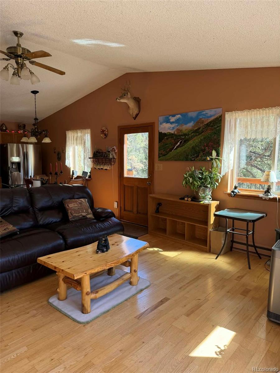 33623 Smith Road Pine, CO 80470 - Photo 8 of 45 a living room with furniture a rug and a chandelier