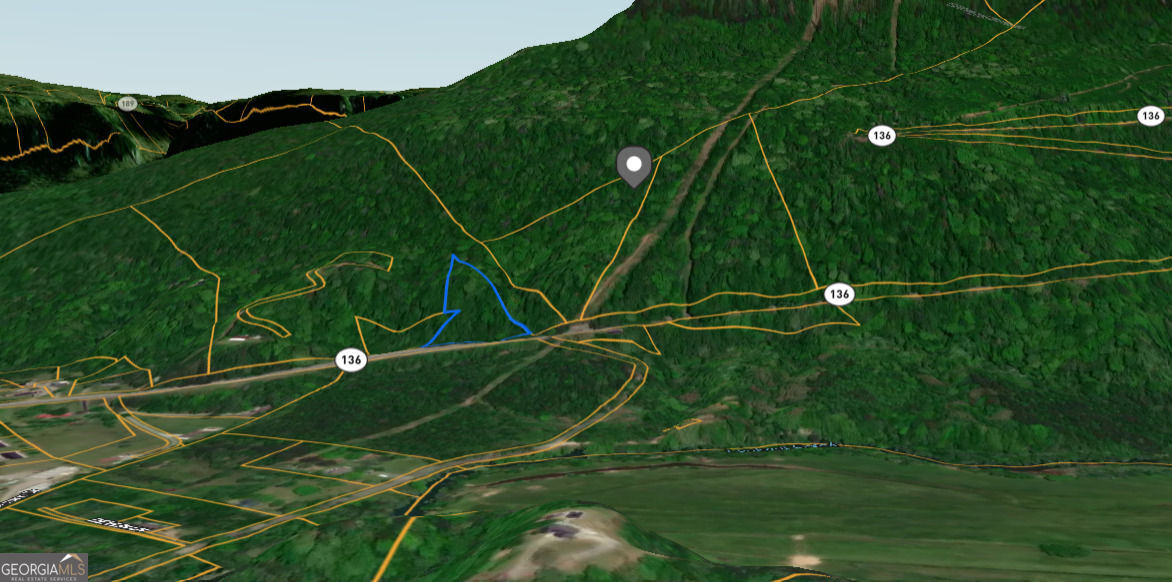 0 State Route Trenton, GA 30752 - Photo 5 of 10
