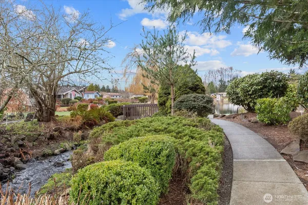 a view of a yard with plants and trees