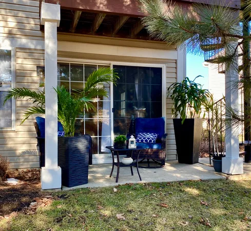 a couple of potted plants in front of door