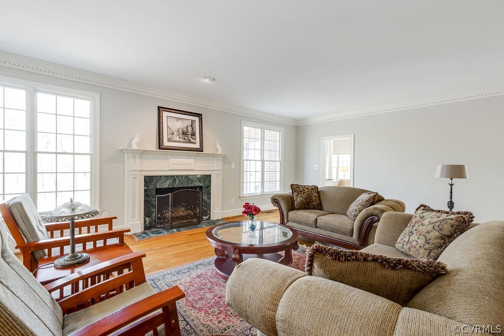 11902 Reeds Bluff Lane Midlothian, VA 23113 - Photo 11 of 42 a living room with furniture a rug and a fireplace