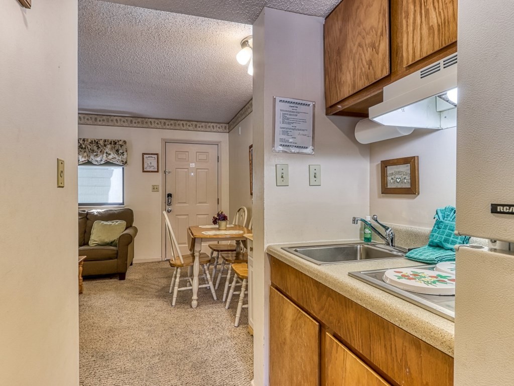 354 East Holly Ridge Road, Unit 303 Gatlinburg, TN 37738 - Photo 9 of 17 Gallery Image 9