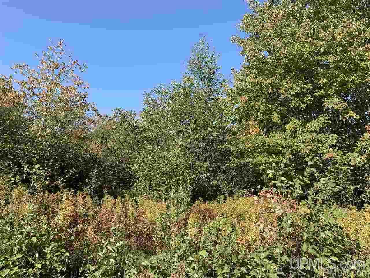 Tbd Tbd Off Ahola Rd Drive Watton, MI 49970 - Photo 2 of 3