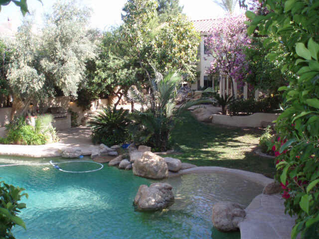 1334 East St John Road Phoenix, AZ 85022 - Photo 1 of 6 Primary Photo
