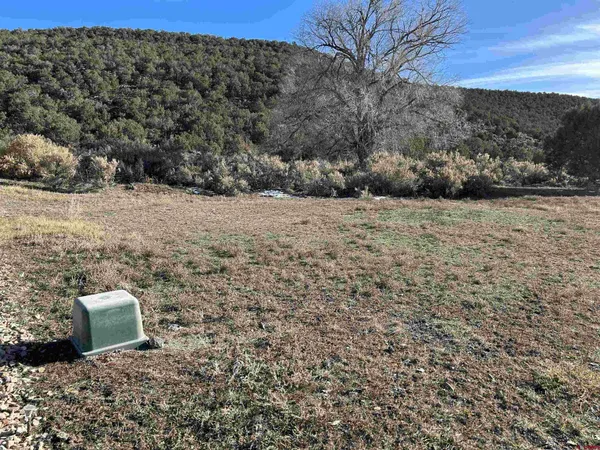 a view of a outdoor space with trees