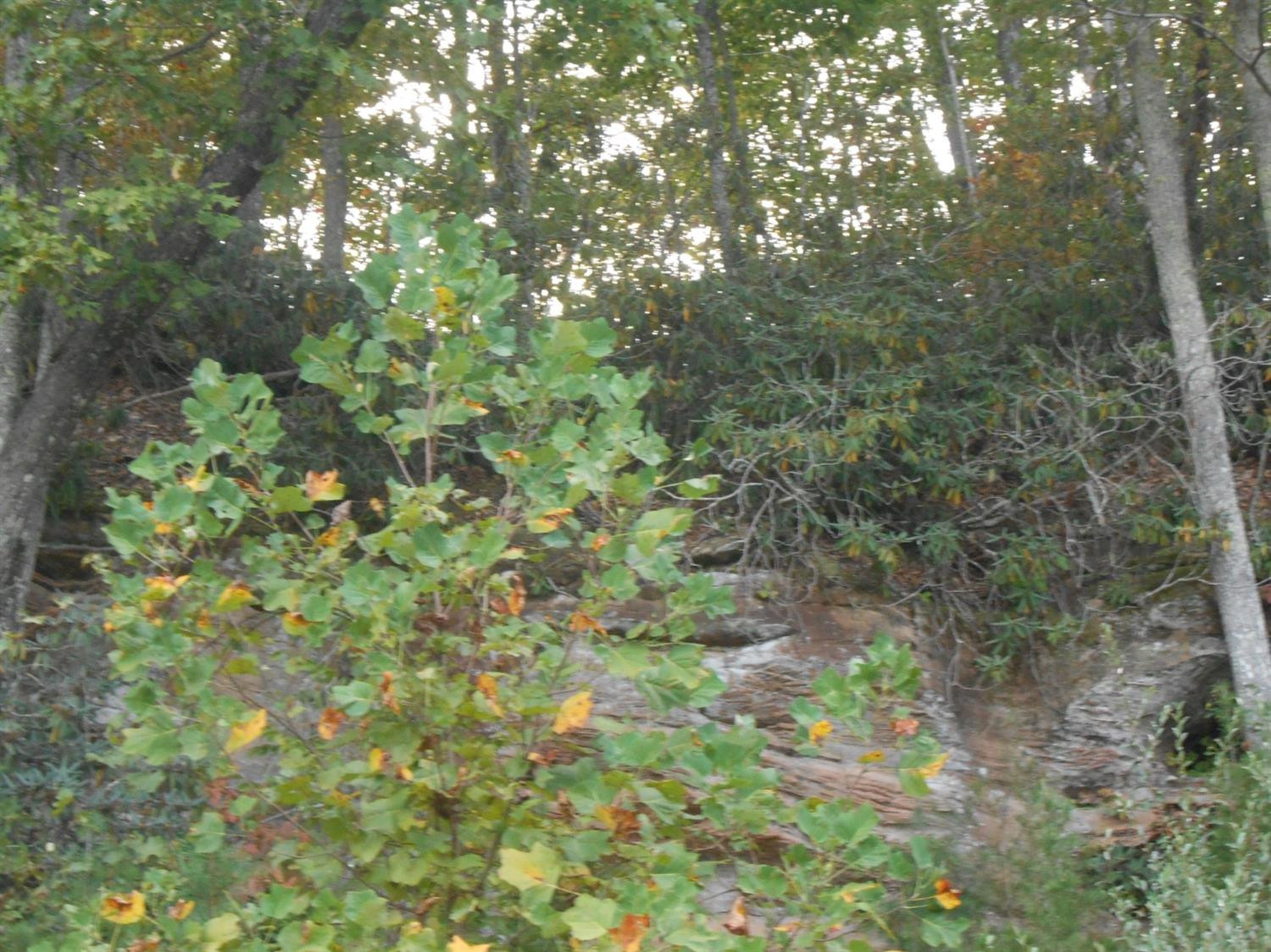7250 Old Beaver Road Frenchburg, KY 40322 - Photo 53 of 71 Photo 53