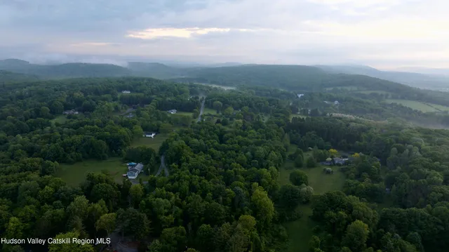 a view of a city and lush green forest