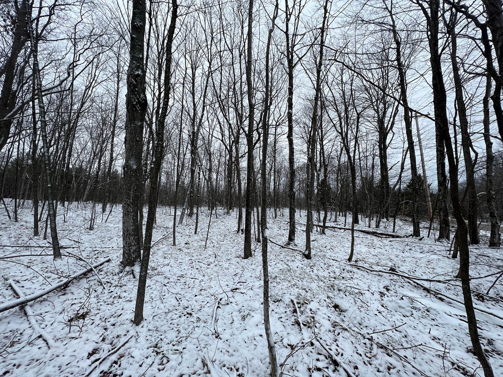 Tbd Juddville Hill Road Fish Creek, WI 54212 - Photo 28 of 31