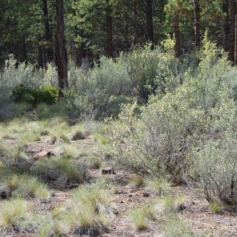 0 Macalpine Loop Bend, OR 97702 - Photo 8 of 22 Lot 22