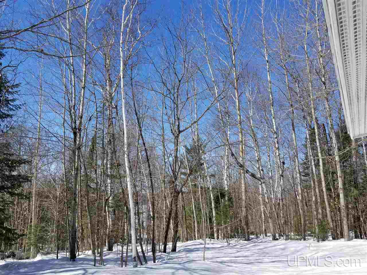 46896 Lower Point Mills Road Hancock, MI 49930 - Photo 20 of 24 Gallery Image 20