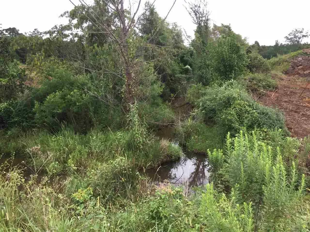 $140,000 | 0 Highway 80 Highway, Morton, MS 39117