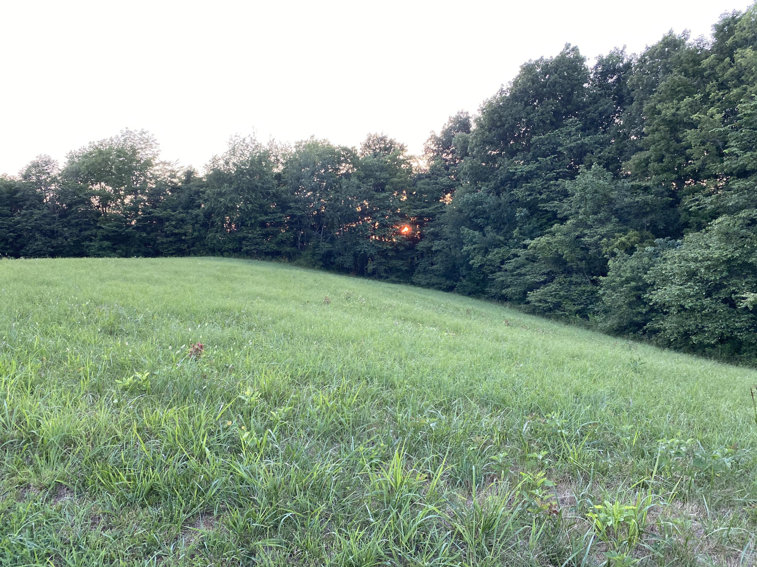 199 Joe Bowles Road Summer Shade, KY 42166 - Photo 2 of 6 Photo Jul 13, 7 55 44 PM