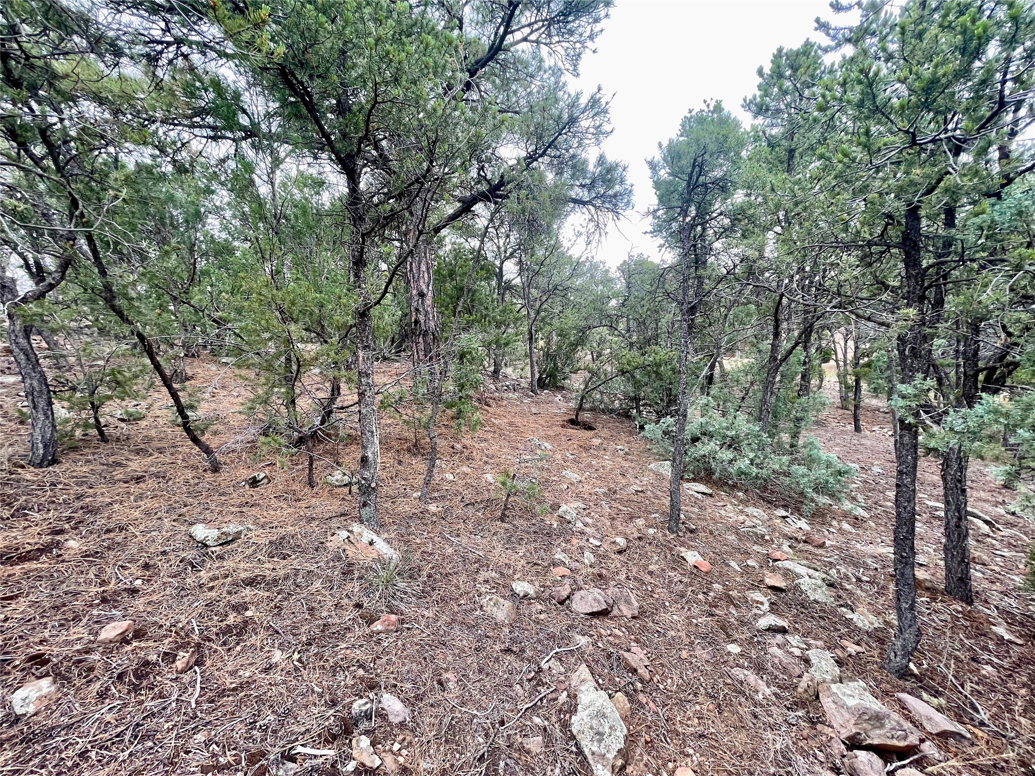 1121 South Summit Ridge, Unit LOT 28A Santa Fe, NM 87501 - Photo 11 of 21