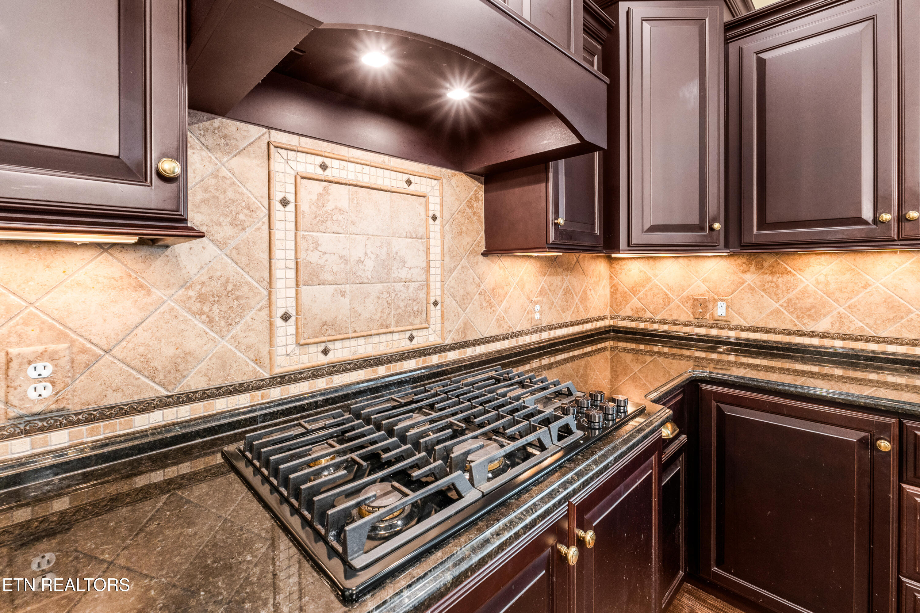 551 Colonial Ridge Lane Knoxville, TN 37934 - Photo 15 of 60 DSC02530