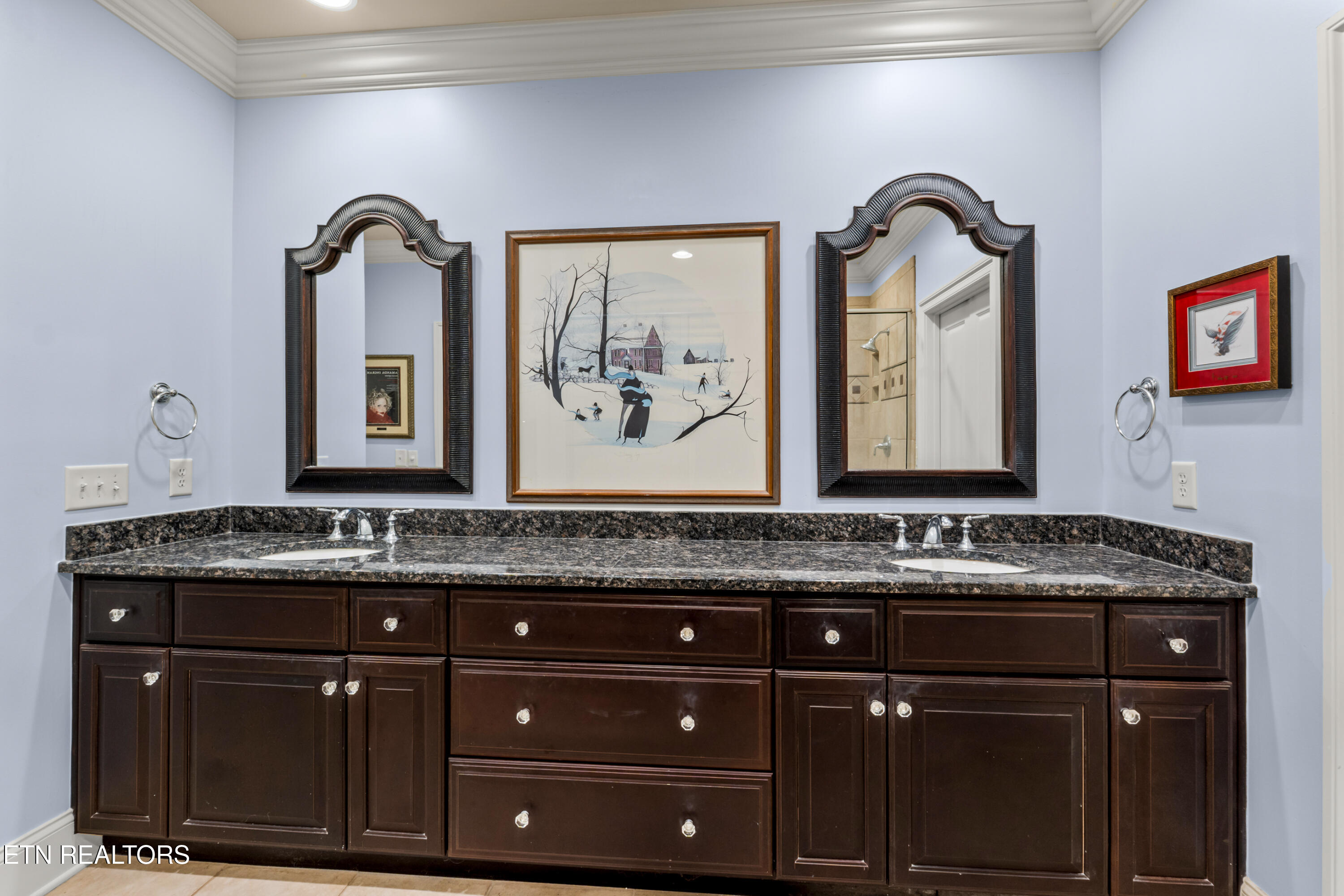 551 Colonial Ridge Lane Knoxville, TN 37934 - Photo 38 of 60 DSC02480