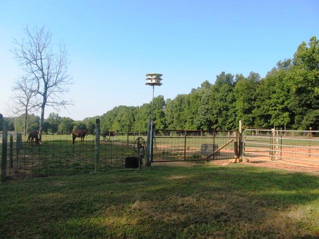 2475 Finley Beech Road Lewisburg, TN 37091 - Photo 3 of 20 Fenced pasture area.
