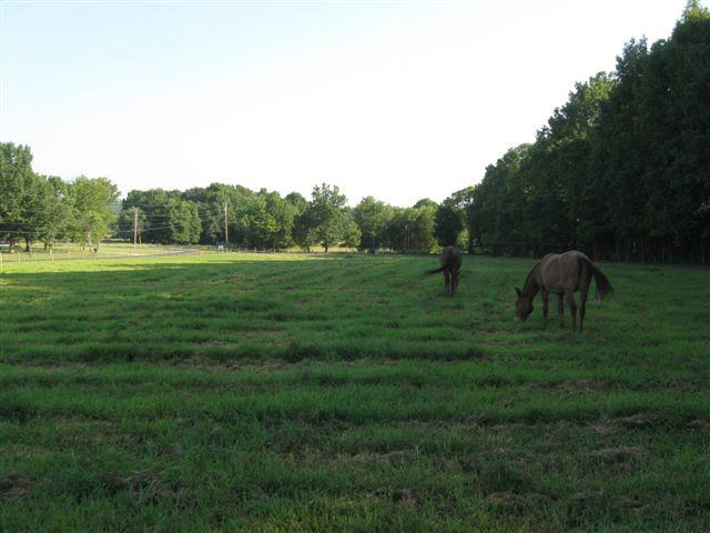 2475 Finley Beech Road Lewisburg, TN 37091 - Photo 6 of 20 land