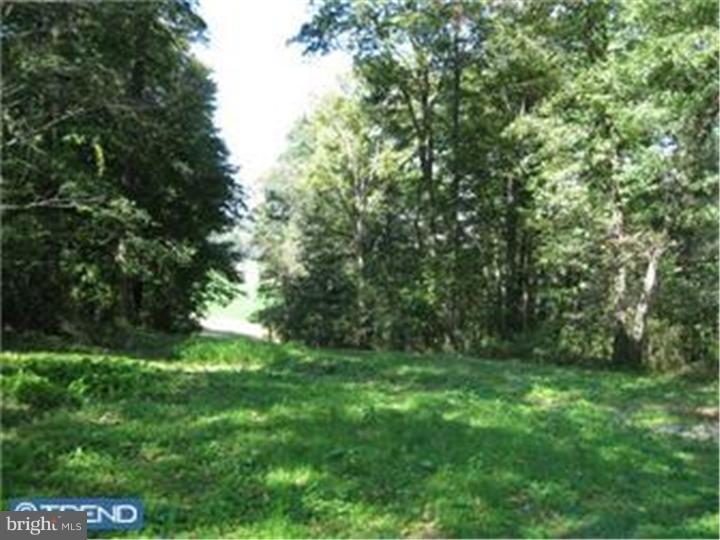 Lot 1 Schoolhouse Road Kirkwood, PA 17536 - Photo 1 of 10 Gallery Image 1