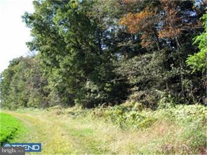 Lot 1 Schoolhouse Road Kirkwood, PA 17536 - Photo 3 of 10 Gallery Image 3
