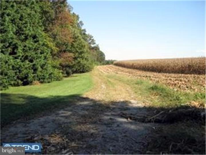 Lot 1 Schoolhouse Road Kirkwood, PA 17536 - Photo 10 of 10 Gallery Image 10