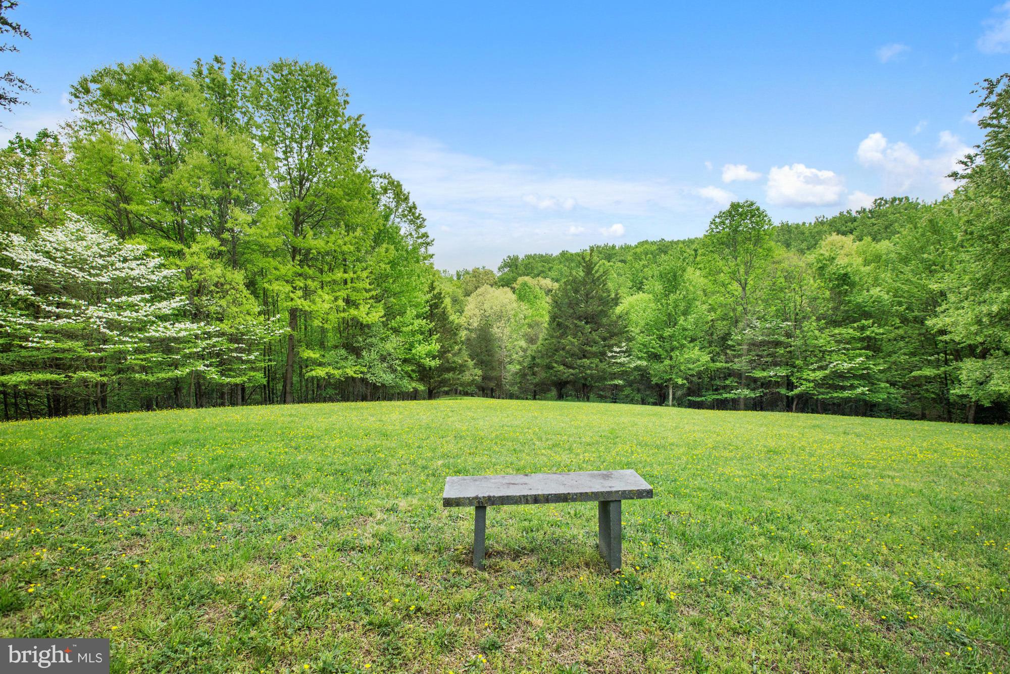 14410 Seneca Road Darnestown, MD 20874 - Photo 22 of 25 Stunning Views