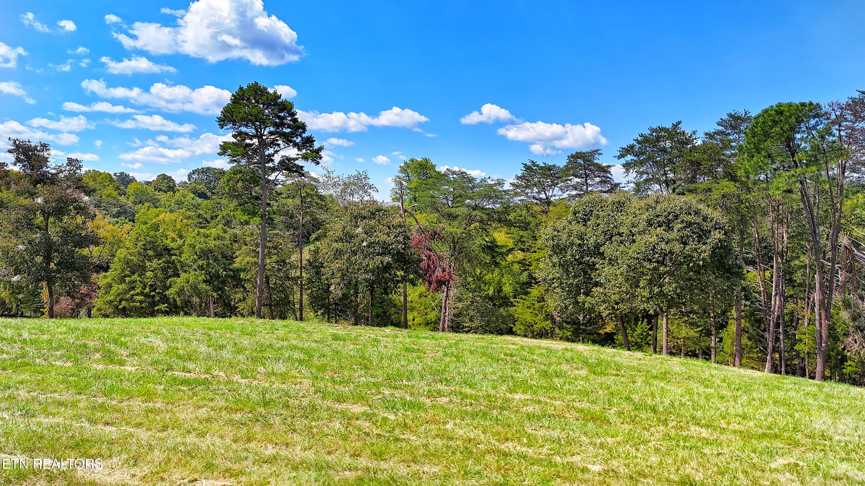 0 Alpine Road Newport, TN 37821 - Photo 12 of 25 EAST END PEAK
