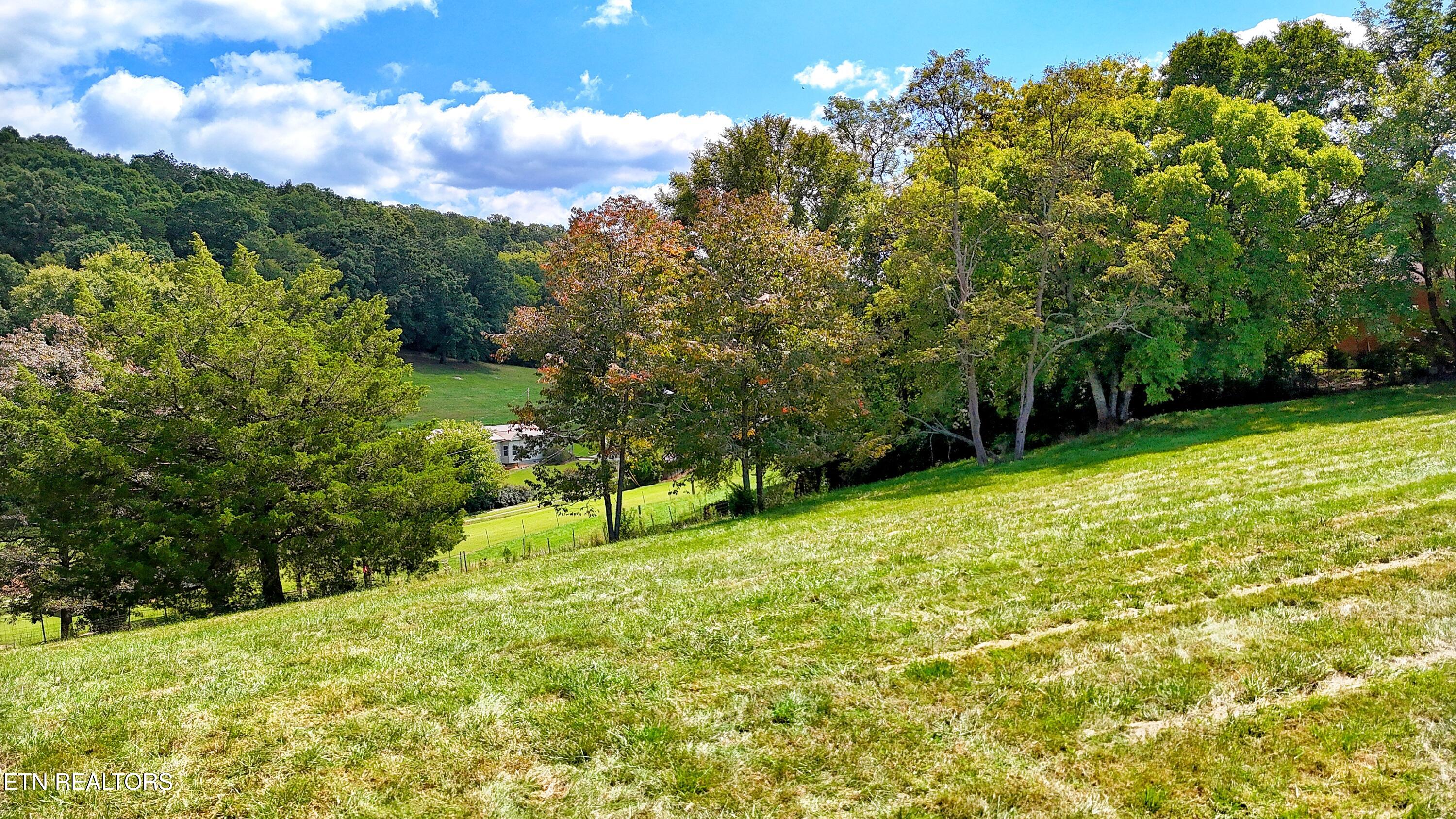 0 Alpine Road Newport, TN 37821 - Photo 16 of 25 NORTH EAST BUILD SITE