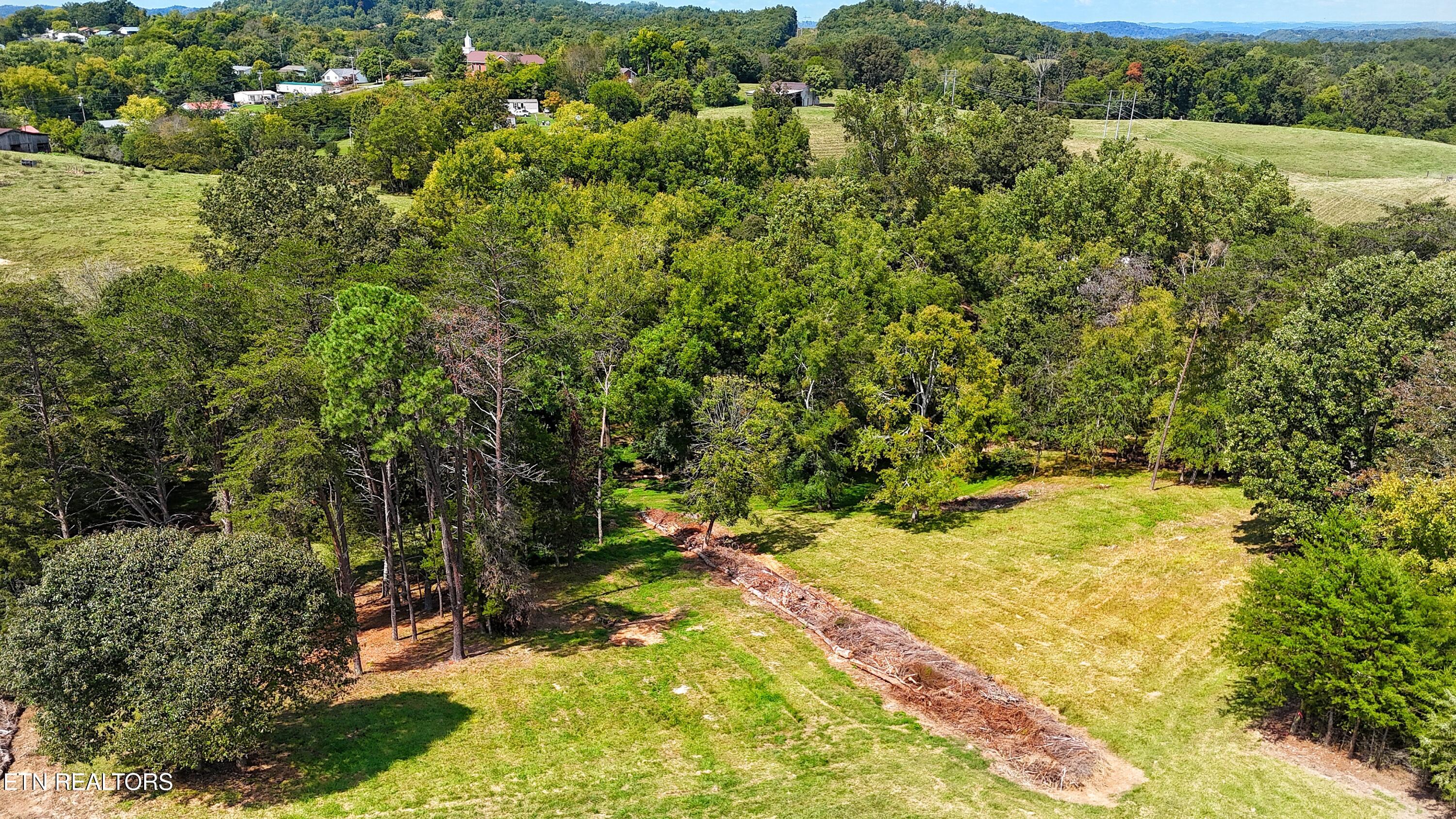 0 Alpine Road Newport, TN 37821 - Photo 17 of 25 PRIVATE WOODED AREA