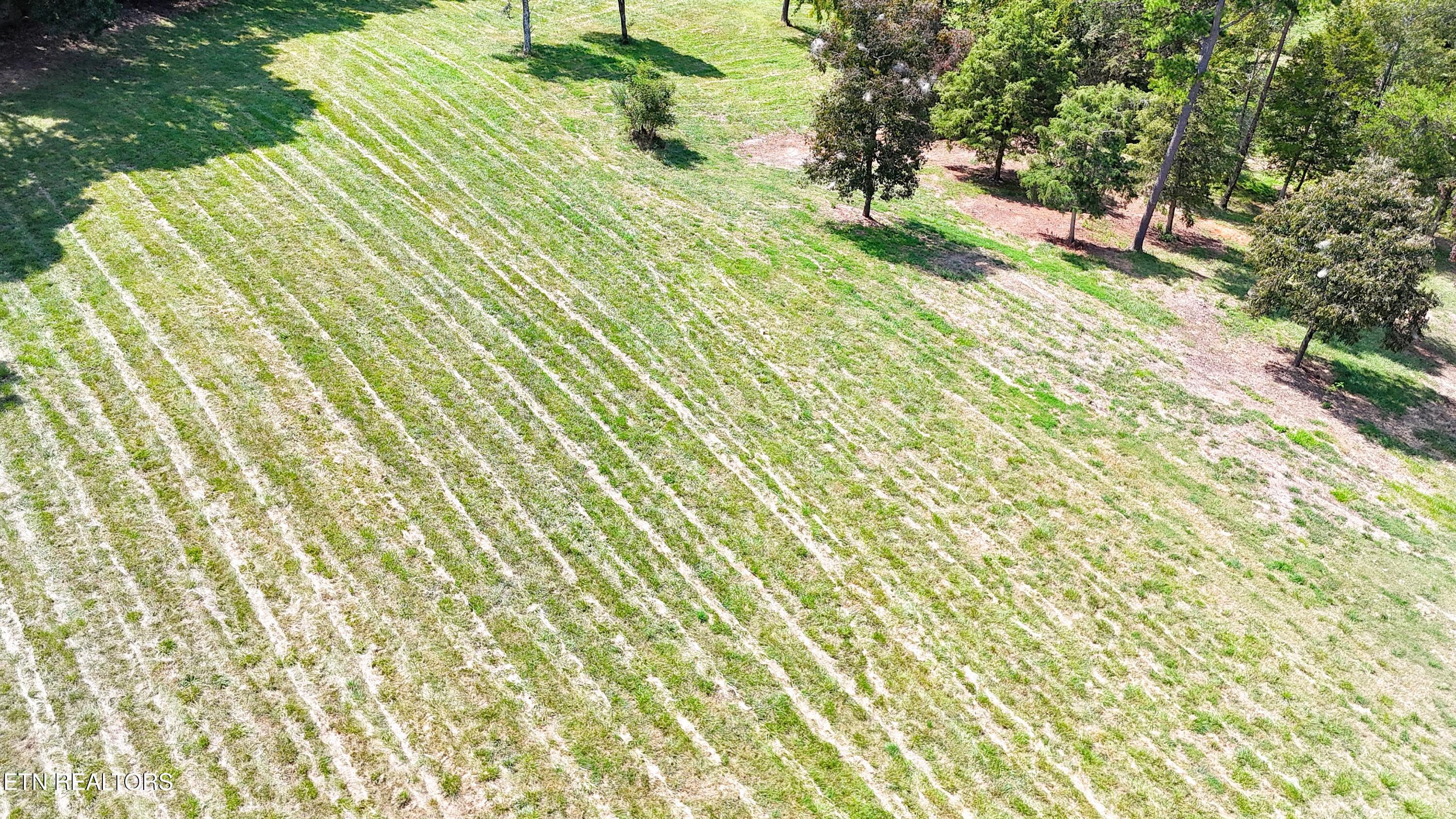 0 Alpine Road Newport, TN 37821 - Photo 20 of 25 SOUTH EAST BUILD SITE