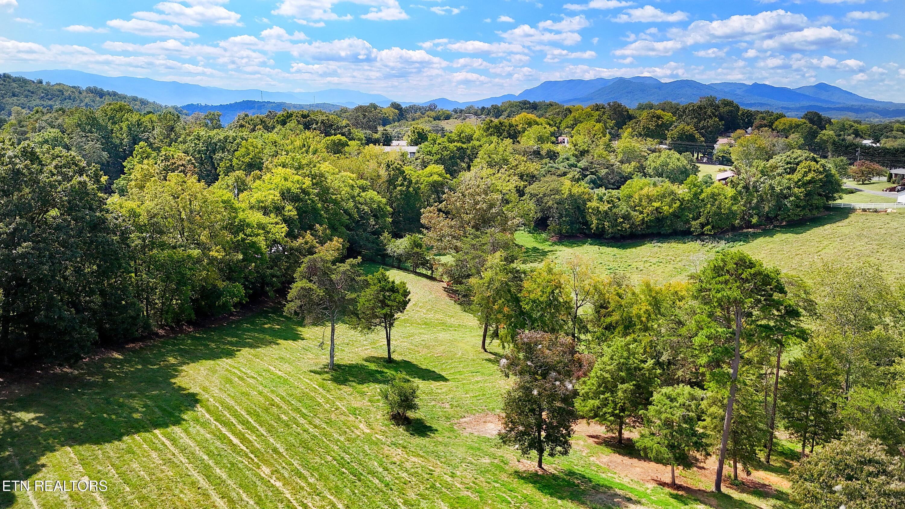 0 Alpine Road Newport, TN 37821 - Photo 2 of 25 LEVEL BUILDABLE LOT