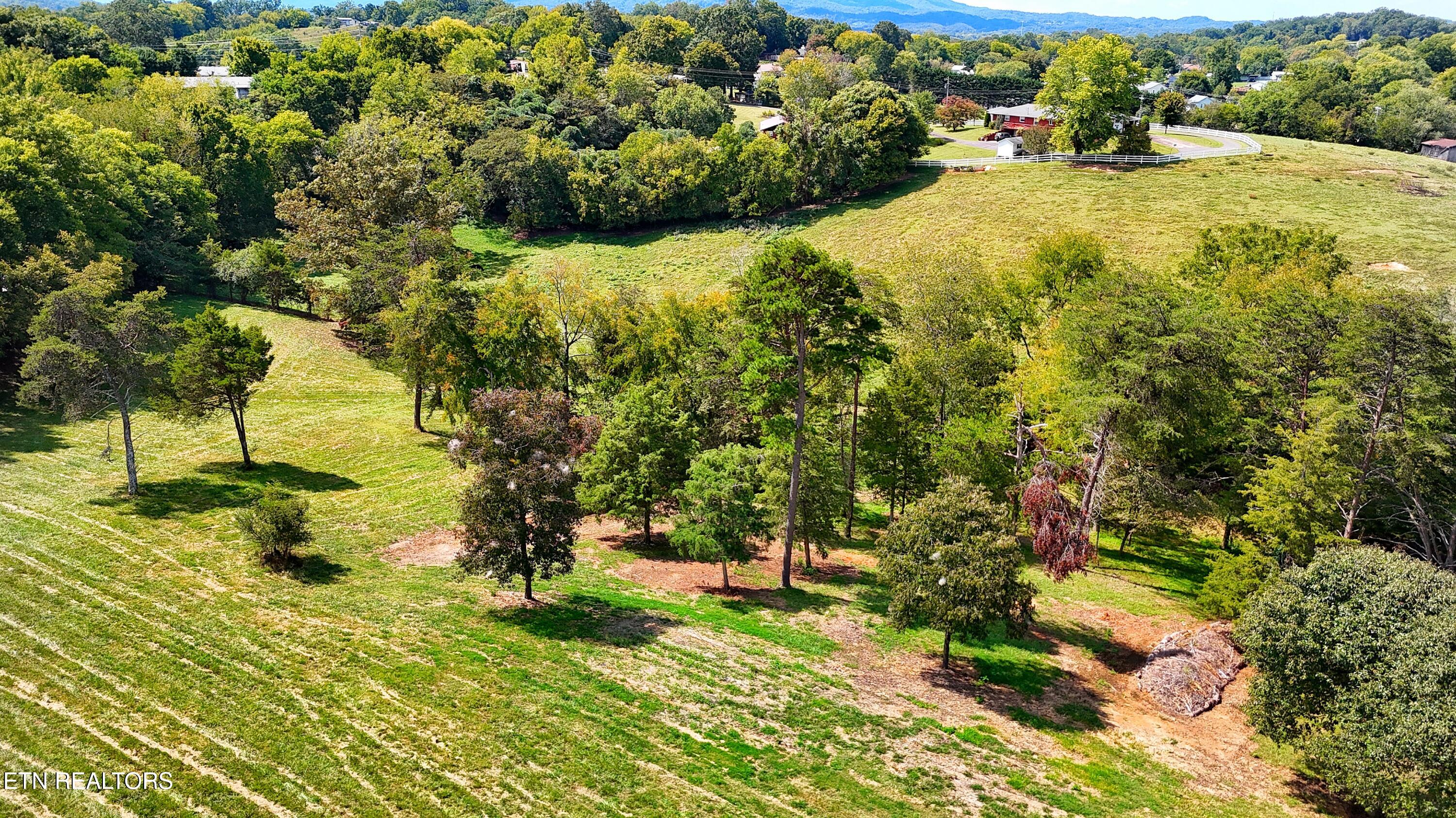 0 Alpine Road Newport, TN 37821 - Photo 21 of 25 SOUTH END