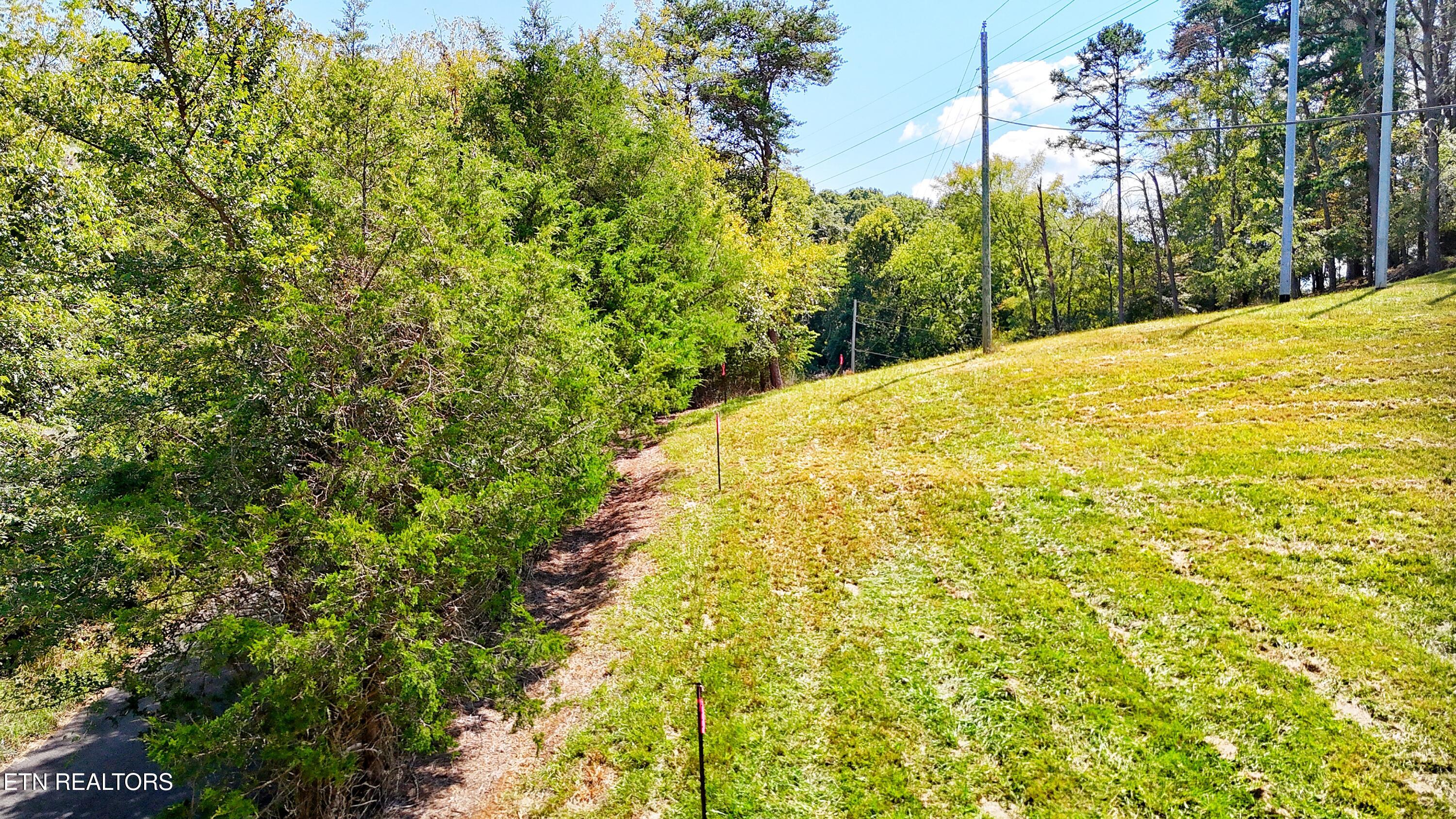 0 Alpine Road Newport, TN 37821 - Photo 22 of 25 SURVEY MARKERS IN PLACE
