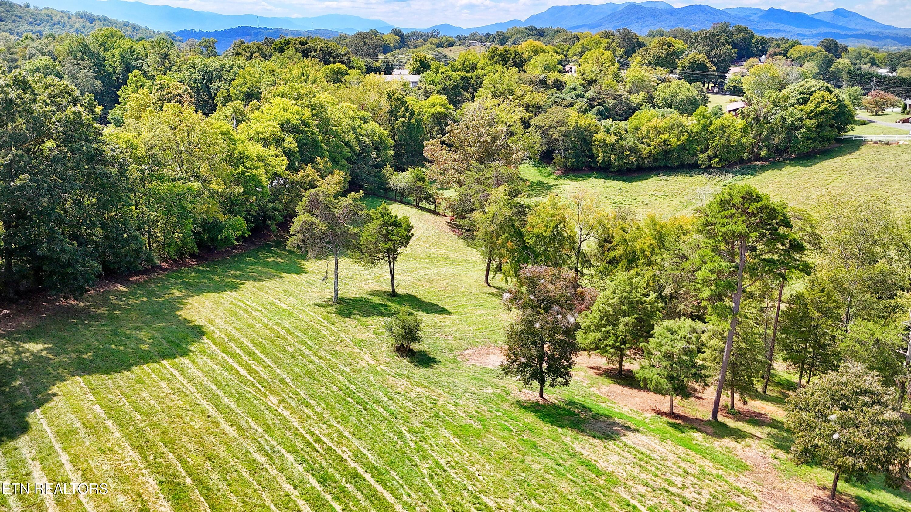 0 Alpine Road Newport, TN 37821 - Photo 3 of 25 MULTIPLE BUILD SITES