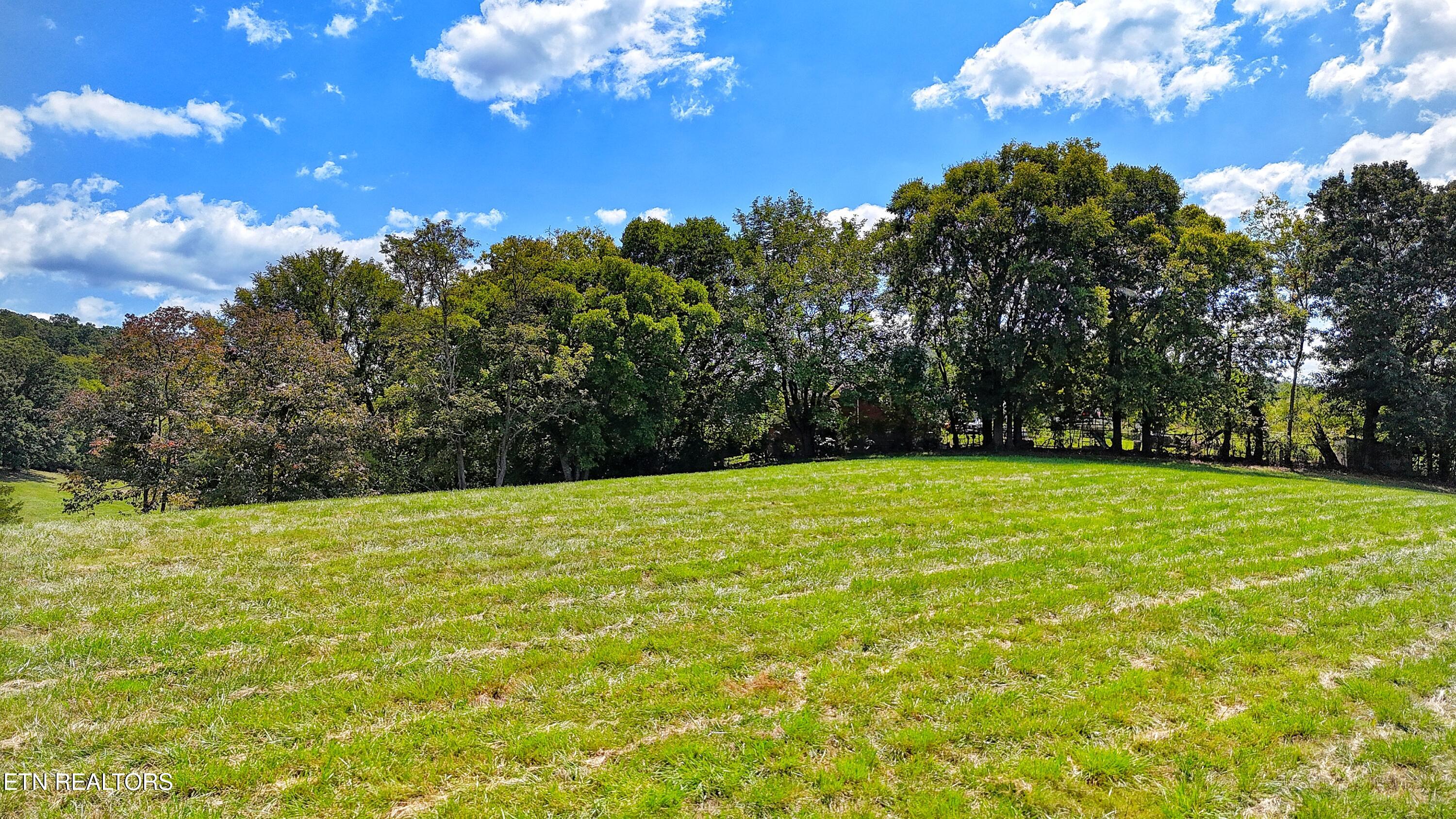 0 Alpine Road Newport, TN 37821 - Photo 7 of 25 BUILD SITE AT EAST END