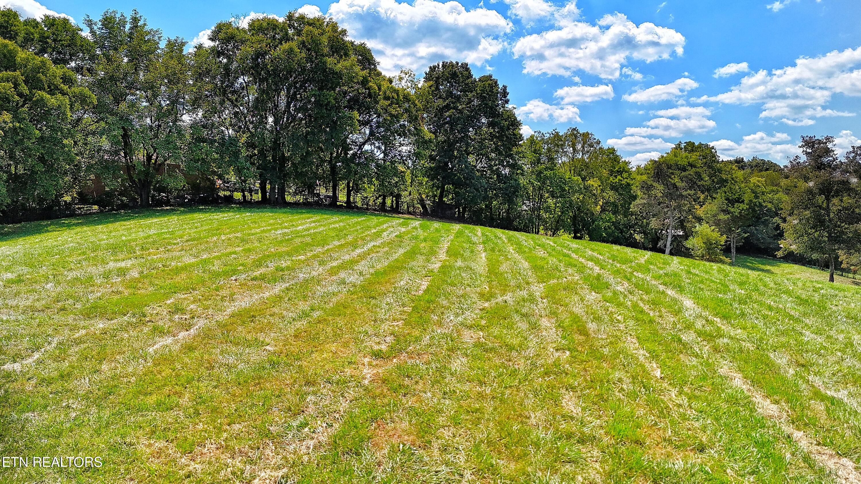 0 Alpine Road Newport, TN 37821 - Photo 8 of 25 BUILD SITE EAST
