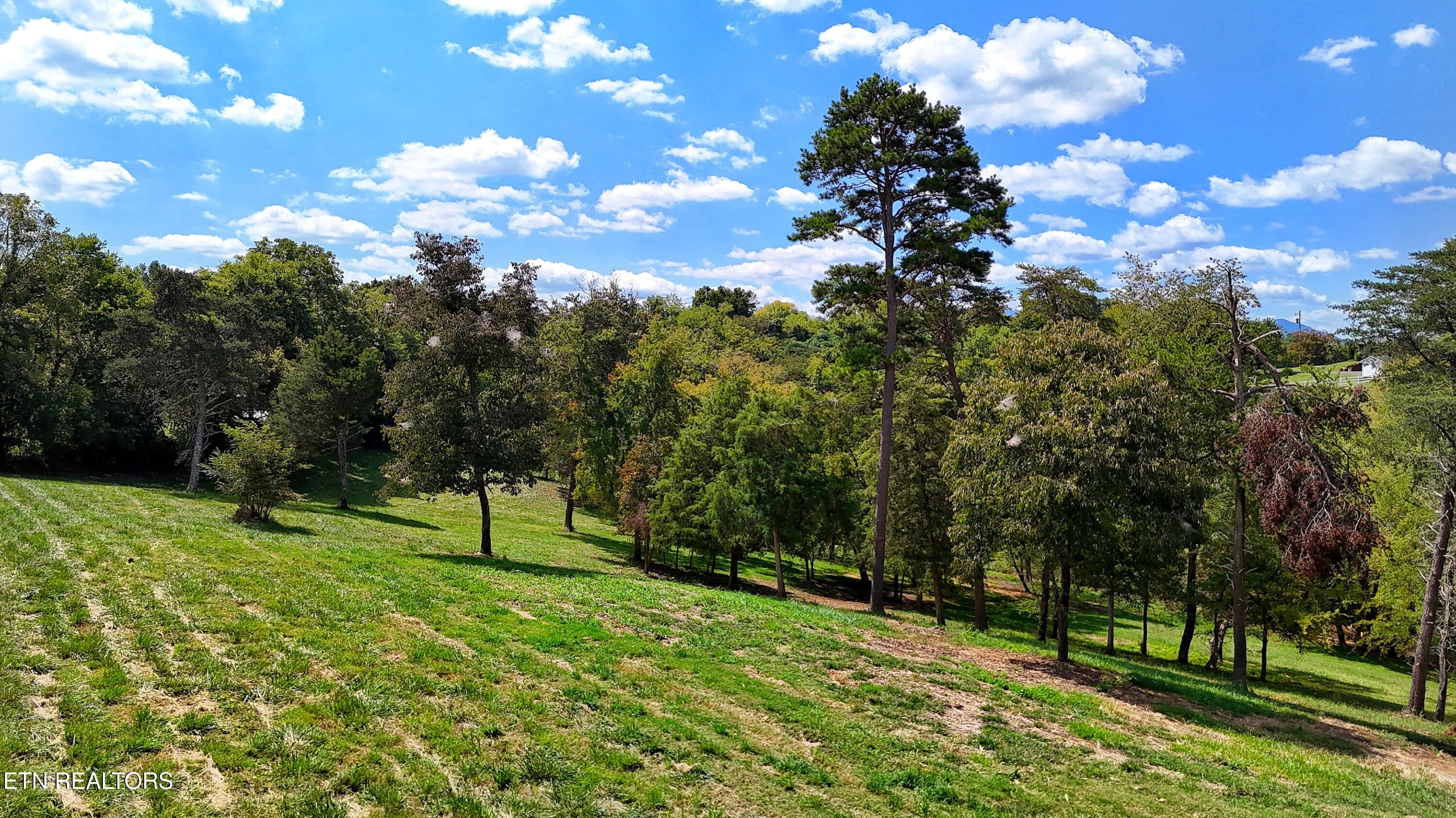 0 Alpine Road Newport, TN 37821 - Photo 9 of 25 CENTER SOUTH