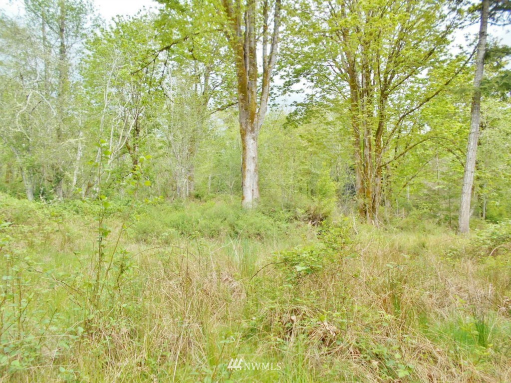 0 Lakenes Road Quilcene, WA 98376 - Photo 2 of 15