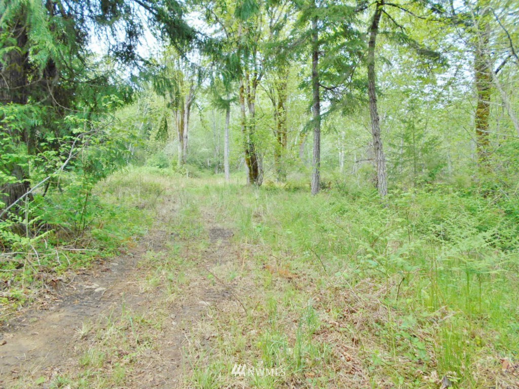 0 Lakenes Road Quilcene, WA 98376 - Photo 11 of 15