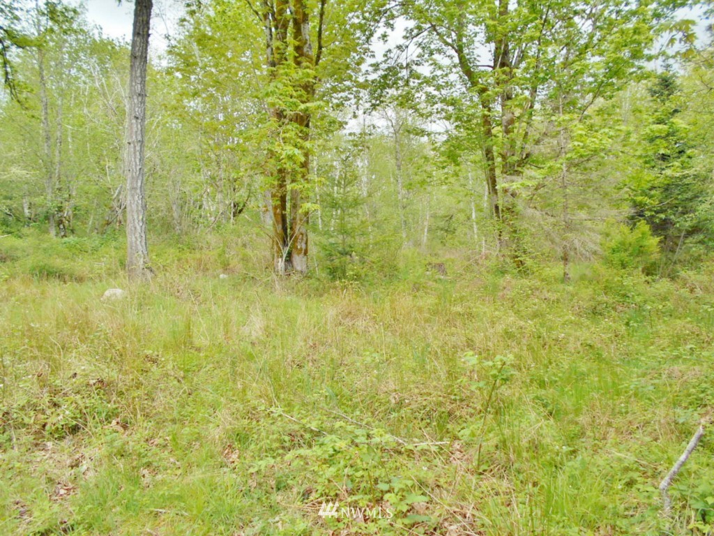 0 Lakenes Road Quilcene, WA 98376 - Photo 12 of 15